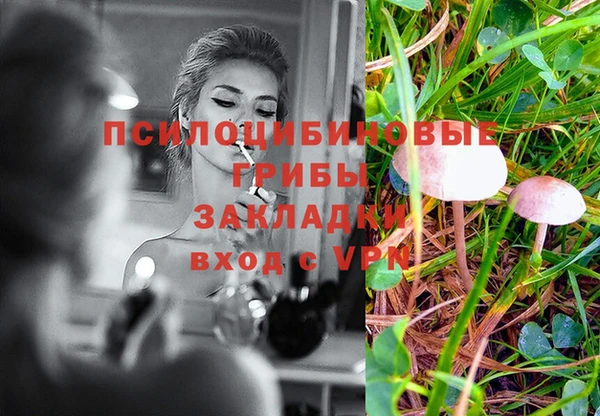 стафф Абаза