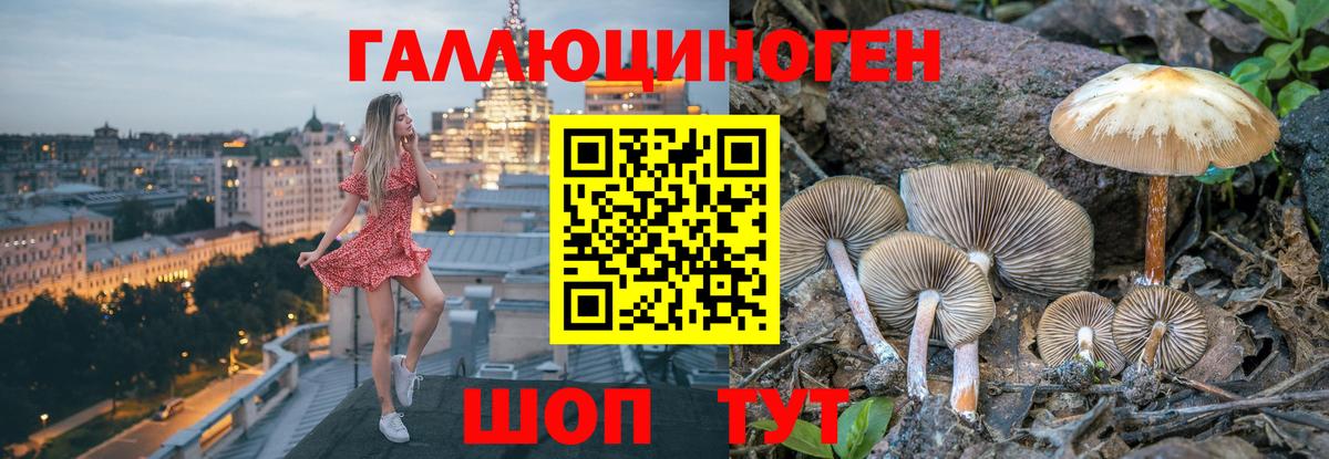 наркотики  Псилоцибиновые грибы GOLDEN TEACHER  Вход с VPN  Псилоцибиновые грибы мухоморы  Юрга 